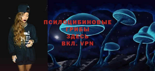 мдпв Бородино