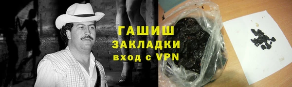 мдпв Бородино