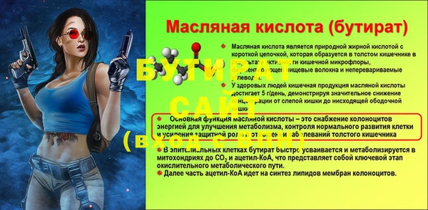 мдпв Бородино