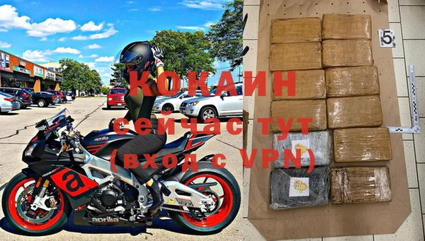 мдпв Бородино
