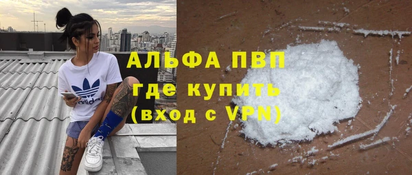 мдпв Бородино