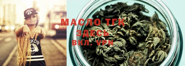 мдпв Бородино