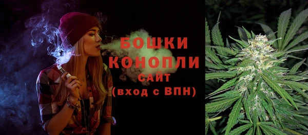 мдпв Бородино