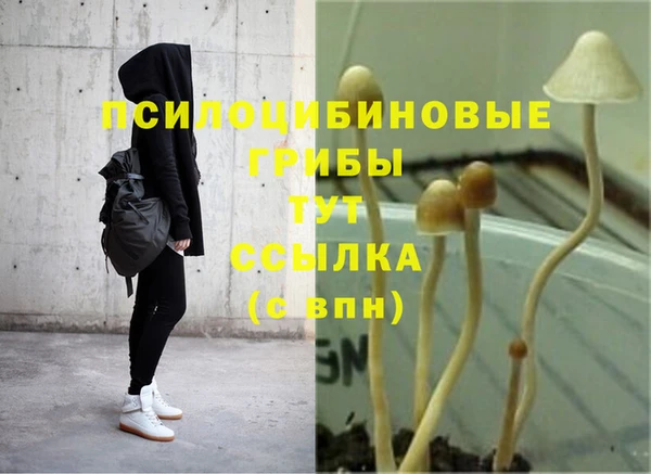 марки lsd Бугульма