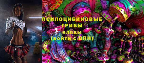 мдпв Бородино