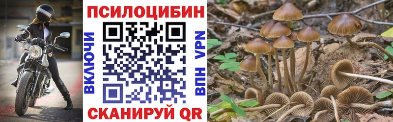 Галлюциногенные грибы Psilocybine cubensis Шилка